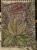 Rose in Chaos
