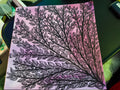 Branches of Light and Shadow