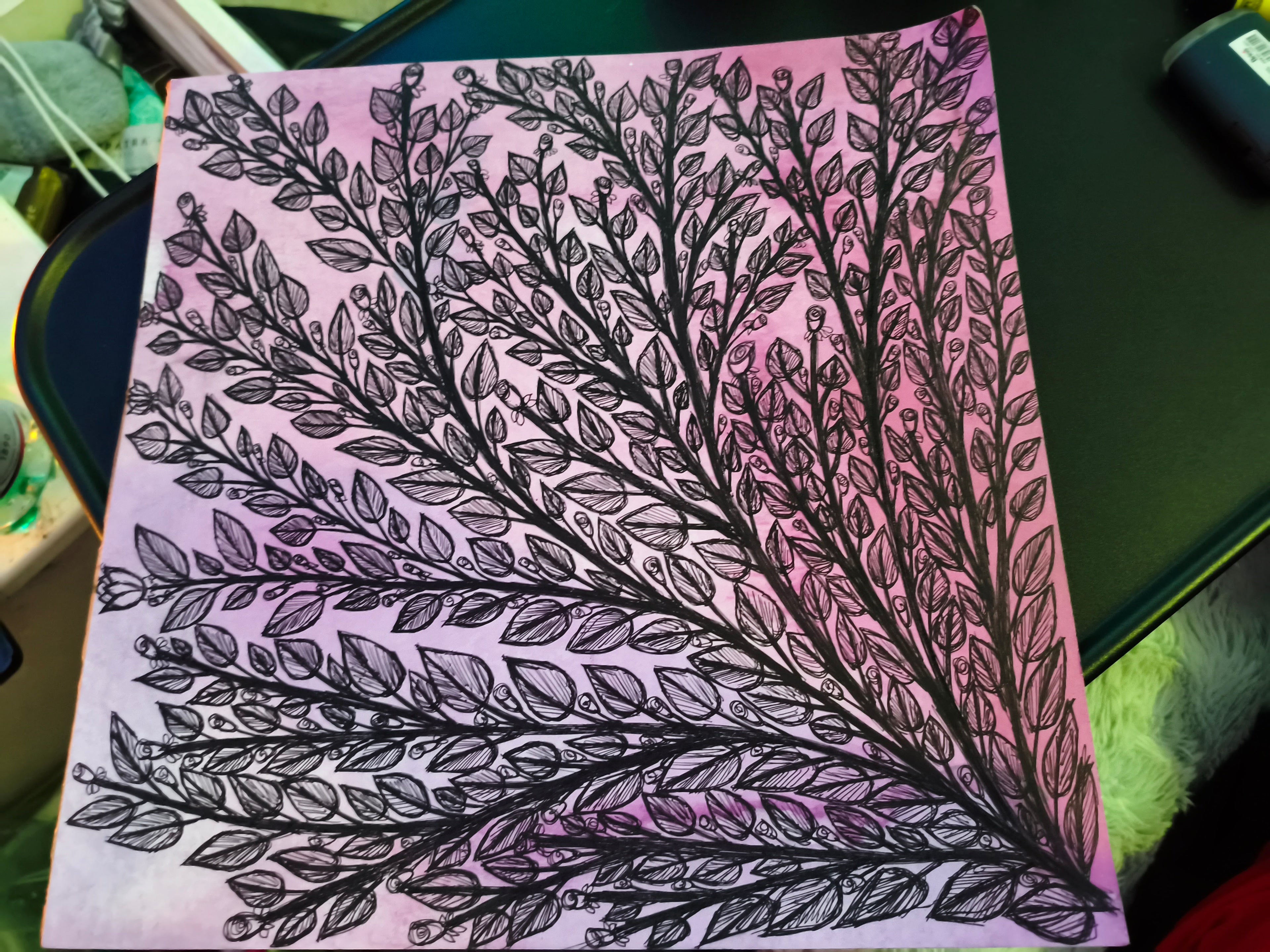 Branches of Light and Shadow