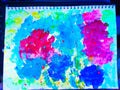 Explosion of colored dreams